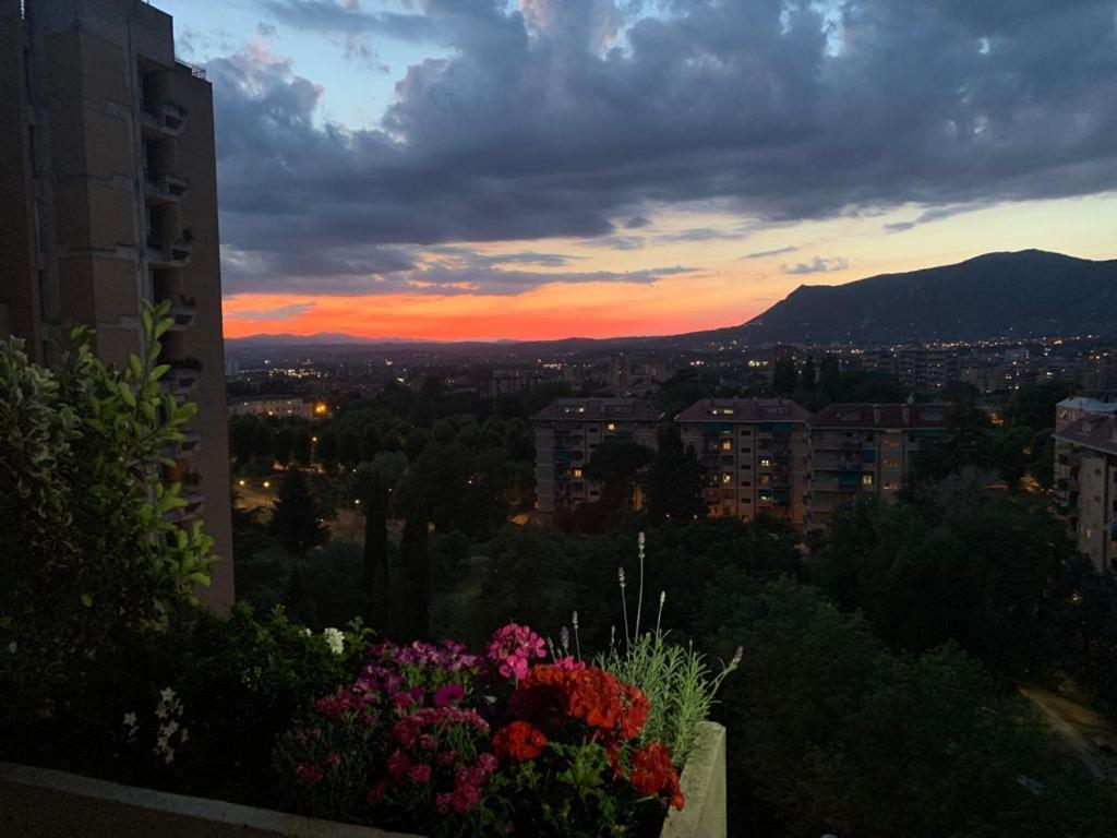 Economy Single Room,1110619215:JPEG